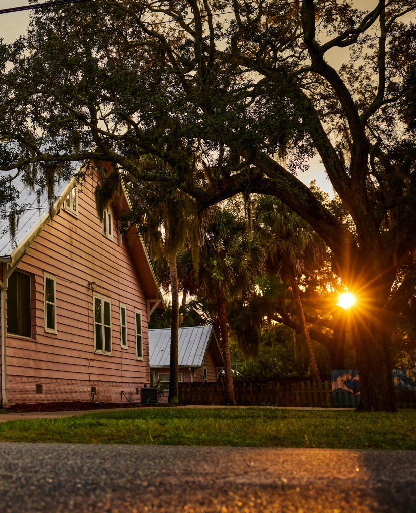 Early evening sun filters through trees in the yard of a pink home.