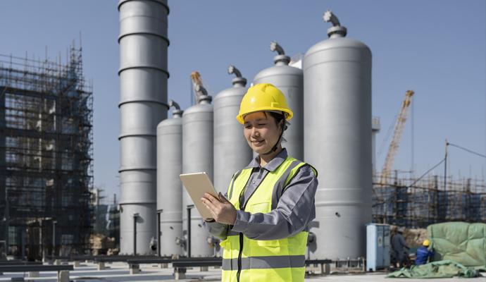 Why do large projects go over budget?